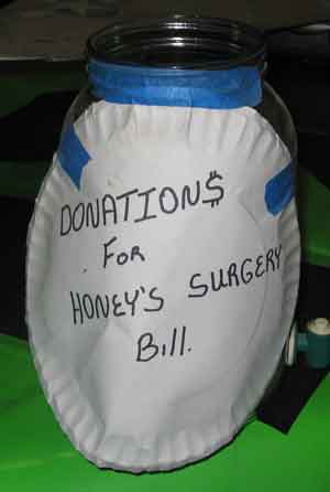 Honey's donation jar.