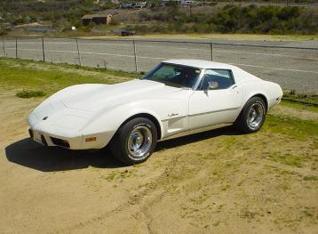 Garrett White Stingray-7
