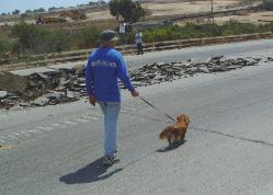 pic larry grismer and his dog